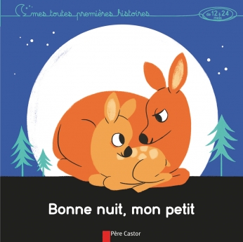 Bonne Nuit Mon Petit De Alice Briere Haquet Aurelie Abolivier Editions Flammarion Jeunesse