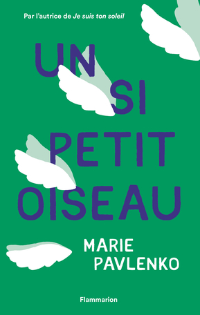 Un si petit oiseau de Marie Pavlenko - Editions Flammarion Jeunesse