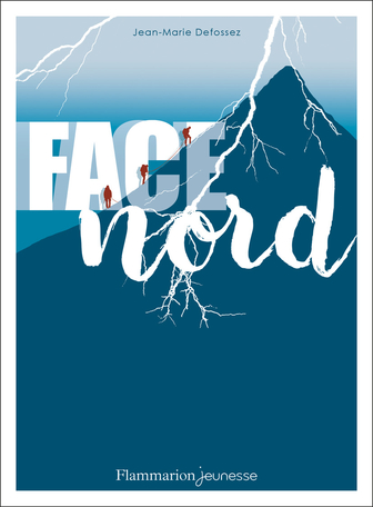 Résultat de recherche d'images pour "face nord flammarion"