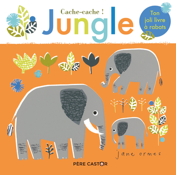 Cache Cache Jungle De Jane Ormes Editions Flammarion - 