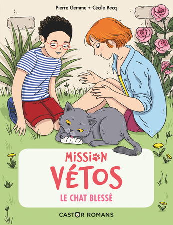 Le Chat Blesse De Cecile Becq Pierre Gemme Editions Flammarion Jeunesse