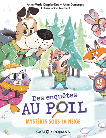Mysteres Sous La Neige De Fabien Ockto Lambert Anne Marie Desplat Duc Anne Dumergue Editions Flammarion Jeunesse
