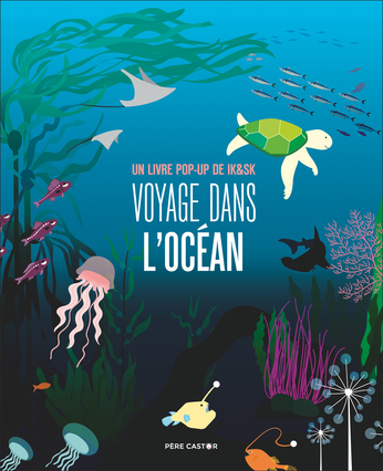 Voyage dans l'océan