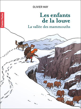 Ton amie pour la vie de Anne-Marie Desplat-Duc - Editions Flammarion  Jeunesse