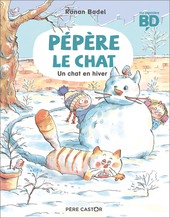 Un chat en hiver