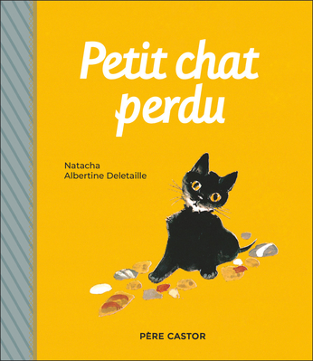 Petit chat perdu