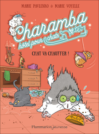 Chat va chauffer !