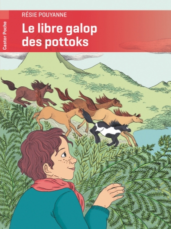 Le libre galop des pottoks