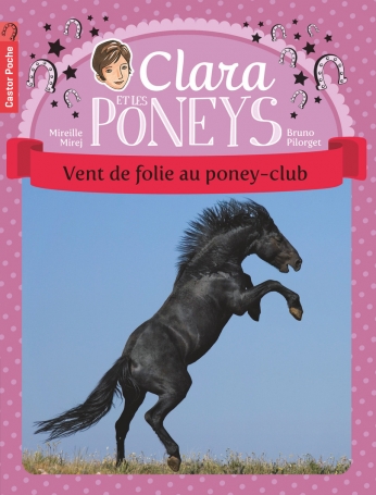 Clara et les poneys Tome 8 - Vent de folie au poney-club 2