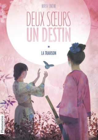 Deux soeurs un destin