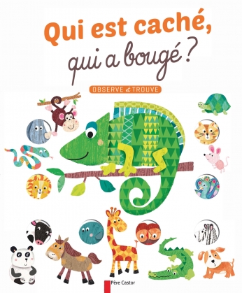 Qui est caché, qui a bougé?