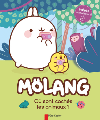 Où sont cachés les animaux?