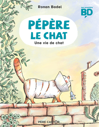 Une vie de chat